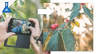 Here are four incredible photography tips that will help you stop
taking mediocre pictures with your smartphone camera, and start photos
th...