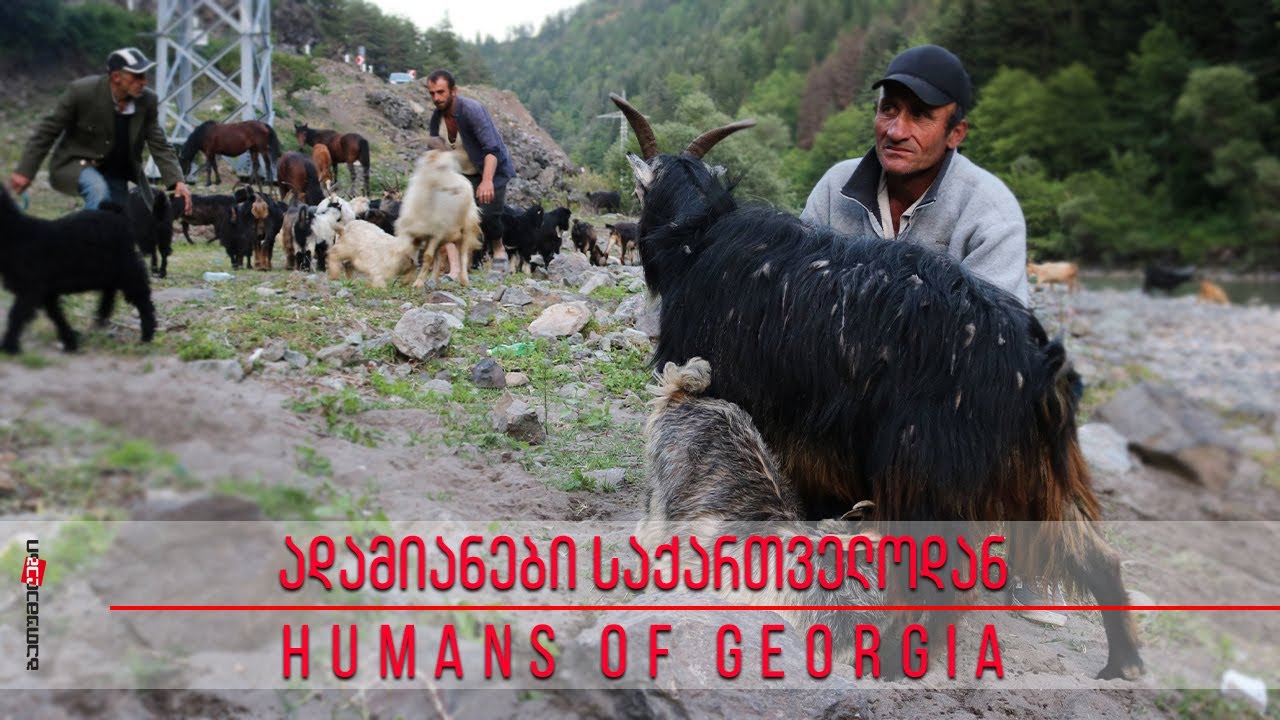 მწყემსები ჭოროხისპირიდან