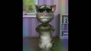 IL GATTO PERSEGUITATO DAL CANE TALKIN TOM screenshot 2