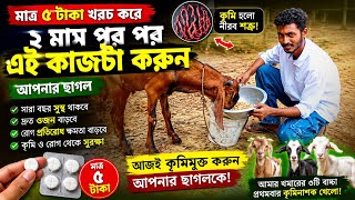 #MinaNaturalAgroFarm#মিনা_ন্যাচারাল_এগ্রোফার্ম#GoatFarming #GoatCare #Deworming #LivestockCare