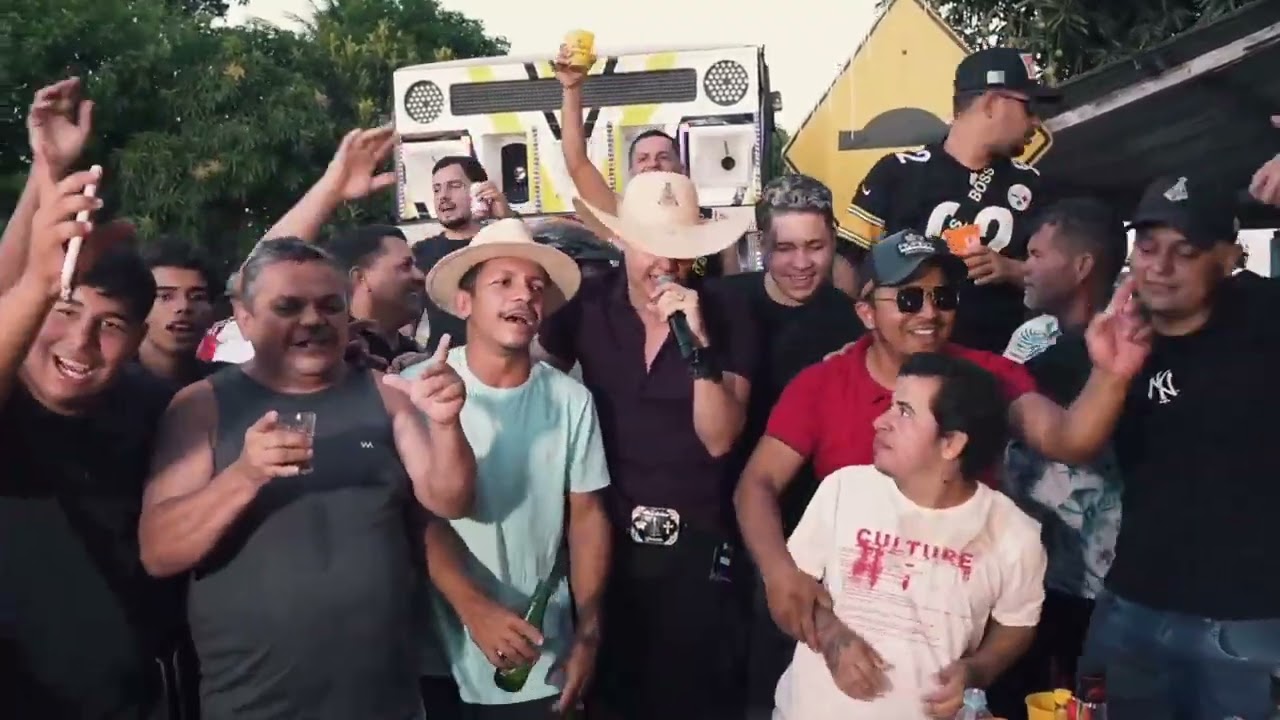 Willy Vaqueiro - Lidiane (COVER)  Brega de Vaqueiro Volume 01