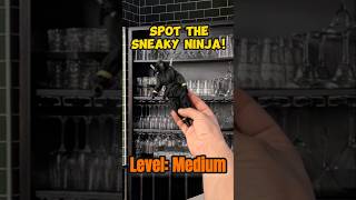 No Whining! #SneakyNinja #Hidden #Ninja #Challenge #hiddeninplainsight #game #today #video #foryou