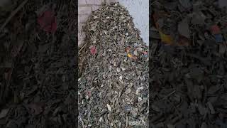 Inside a Metal Scrap Recycling Factory | How Zurik Scrap is Sorted