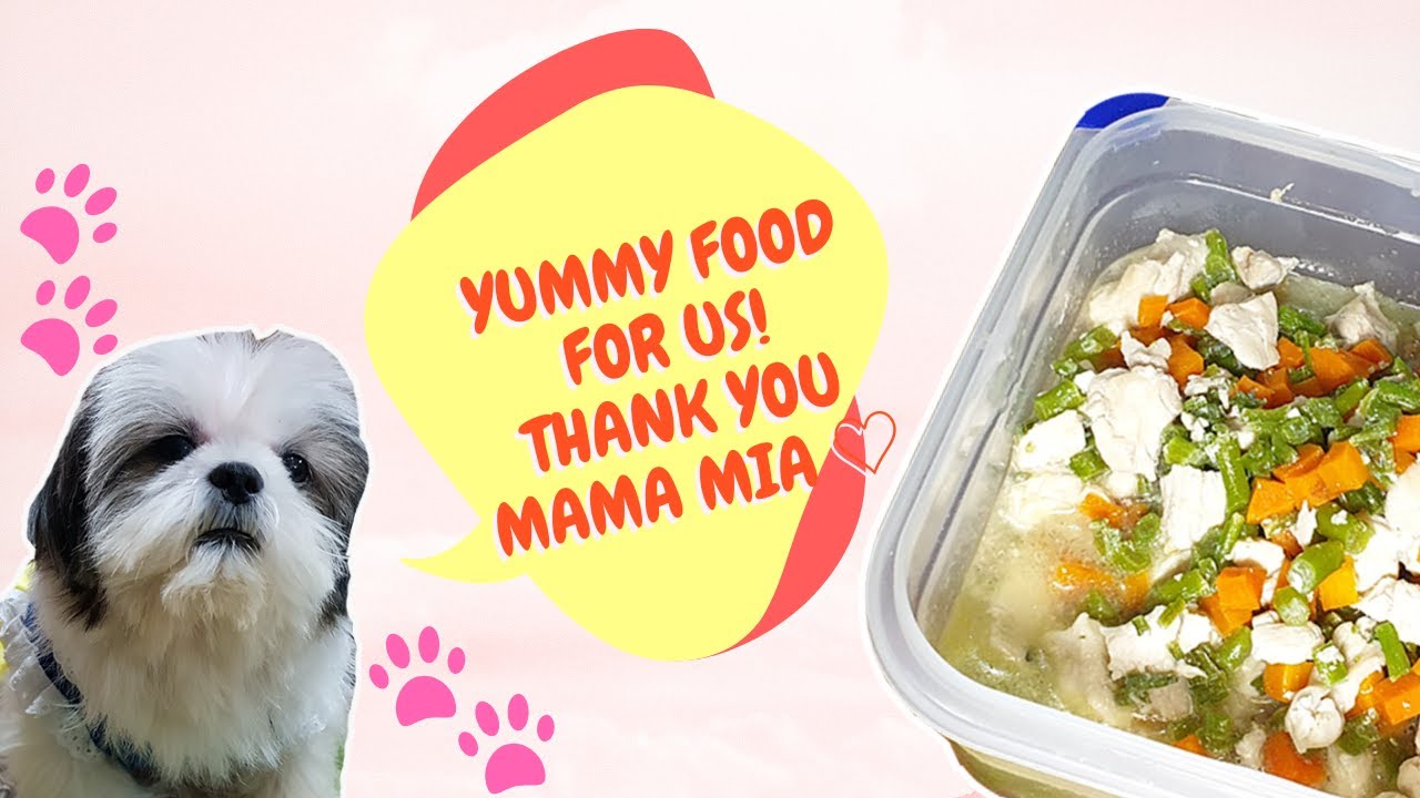 Homemade Dog Food (Quick and Easy) / Vlog 059 YouTube