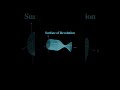 Surface of Revolution explained in 18s #Shorts