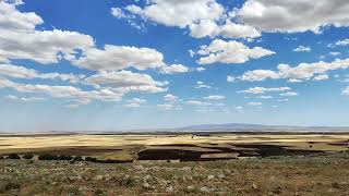 Mihemed Şêxo - Aylê Gulê