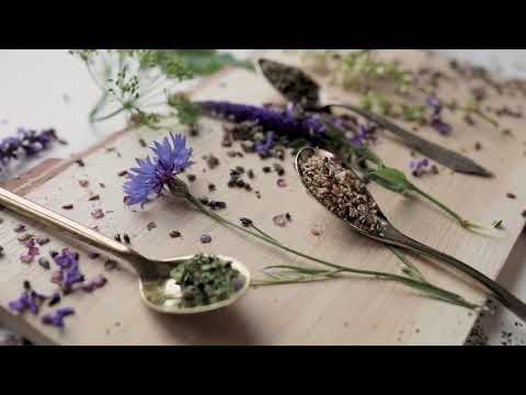 L'Académie des Enchanteresses,