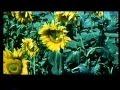 OFF COURSE 1987 【PART-1】