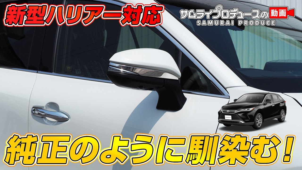 サイドミラー　ハリアー 80系 ハリアー ドアミラー(サイドミラー)ライン メッキ : エアロ