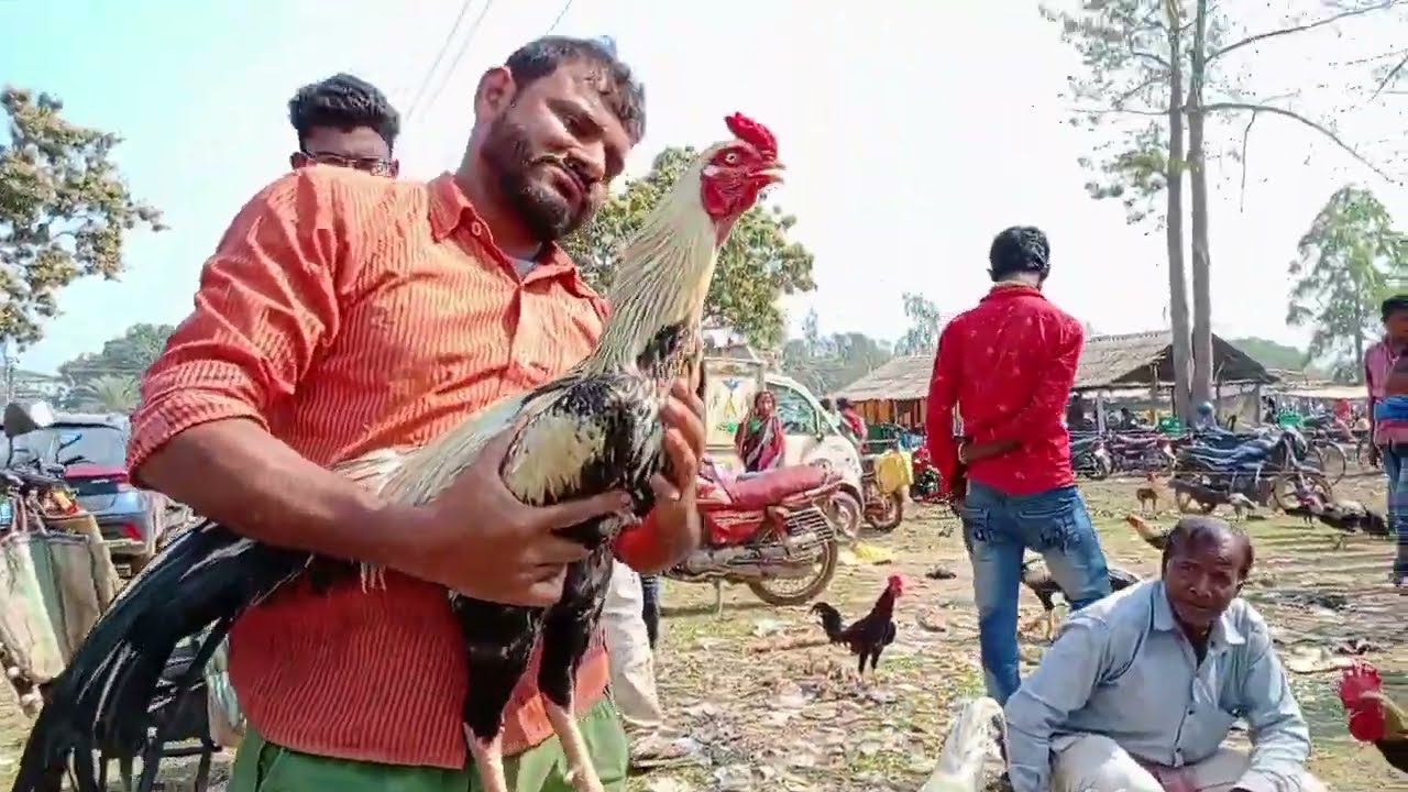 আজকে আবারও খড়িকাহাট চলে এলাম//kharika murga haat