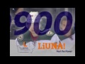 Brett Bulmer LIUNA Video 3.31.14