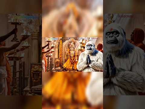 #AIबंदर #राममंदिर #अयोध्या #RamMandirAyodhya #DigitalMonkey  #AyodhyaDarshan #ShortsVideo #RamLalla