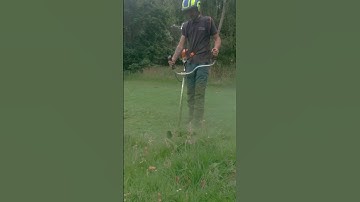 Cutting down long grass with a Stihl Strimmer / weed whacker #shorts #satisfying #amsr #diy