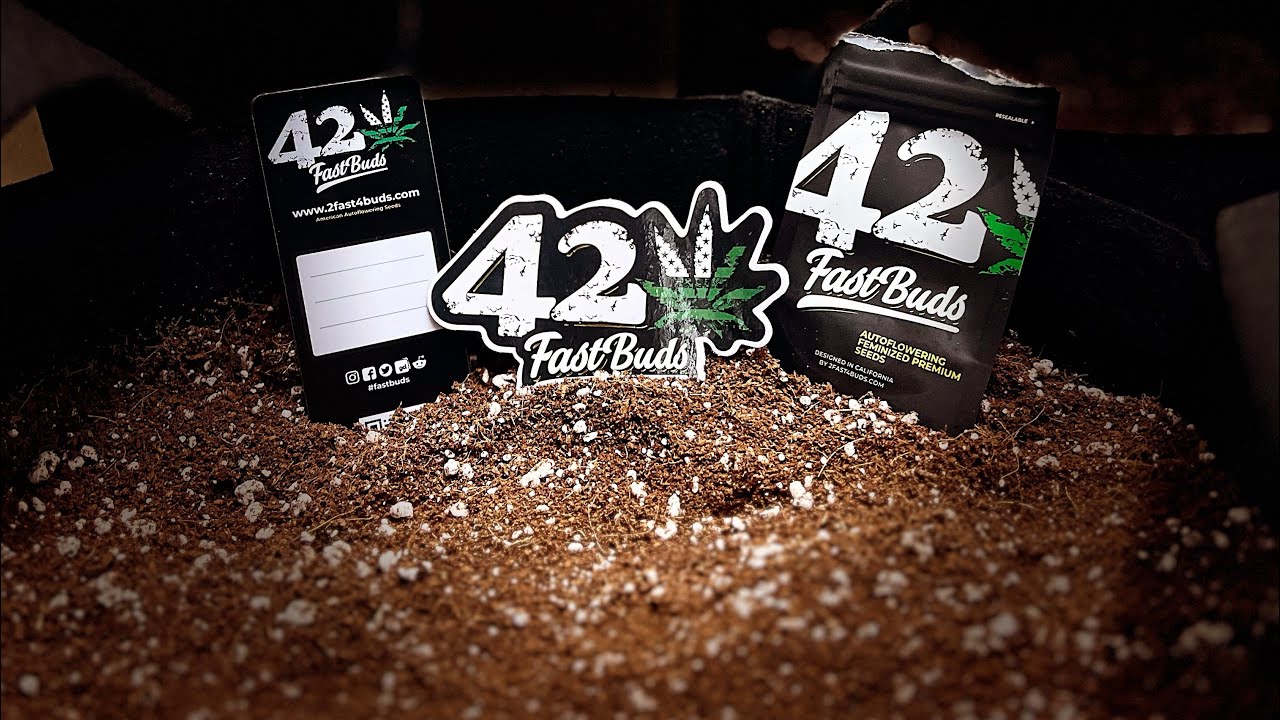 420 FAST BUDS MIX PACK