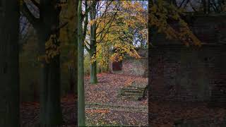 Wachtendonk #drone #germany #wachtendonk #autumnlandscape