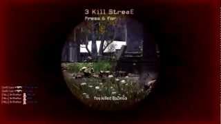 CoD4 Triple Collateral headshot