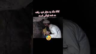 کاکا ملک همراه عزیز کجا رفته