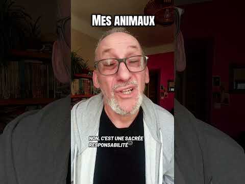 Mes animaux à la maison 🐇🐱 #comique #humour #animauxdomestiques #responsabilité #vétérinaire #drôle