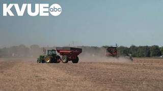 Details President Trump touts $8B in farm relief Update