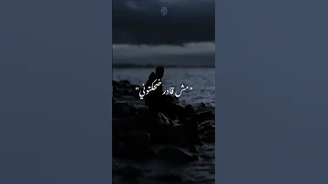 عاملين جدعان ولاد الحرام والله ضحكتوني 