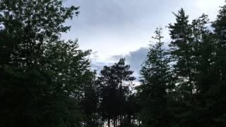 Starstorm Forest - Le Meow