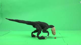 Stop-Motion Raptor Walk Test