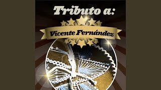 Acá Entre Nos screenshot 4