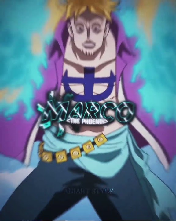 Old Rayleigh VS Marco 🗿 #onepiece #rayleigh #marcothephoenix