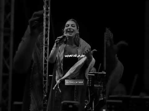 طيب ليه نمسك في الي غايب مهو مش من قلة الحبايب اصاله اكسبلور   