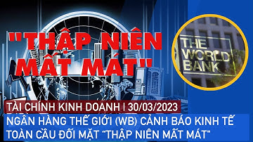 NGÂN HÀNG THẾ GIỚI (WB) CẢNH BÁO KINH TẾ TOÀN CẦU ĐỐI MẶT "THẬP NIÊN MẤT MÁT"