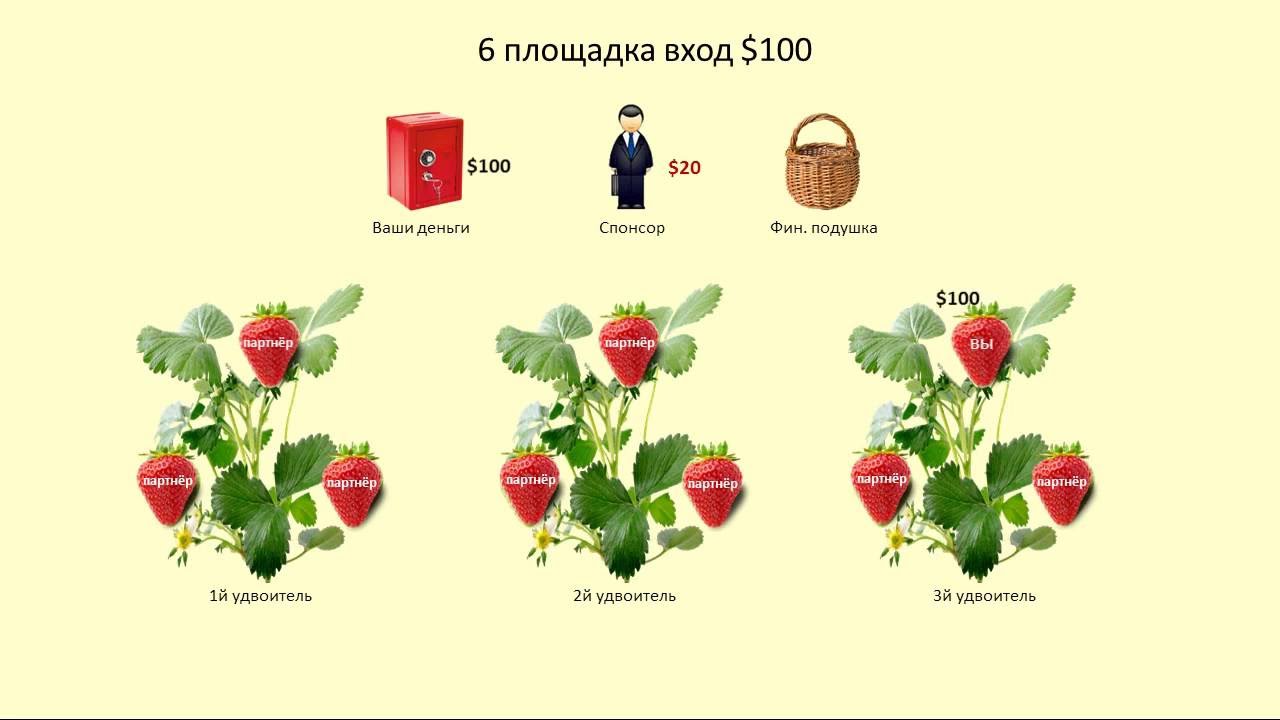 Сколько заработать на клубнике. Орхидея Strawberry fields.