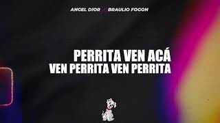 Angel Dior x Braulio Fogon - Perrita (Lyric Video)