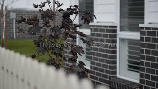 Townhouses For Sale - 57 Throsby Street, Moss Vale - Throsby Gardens