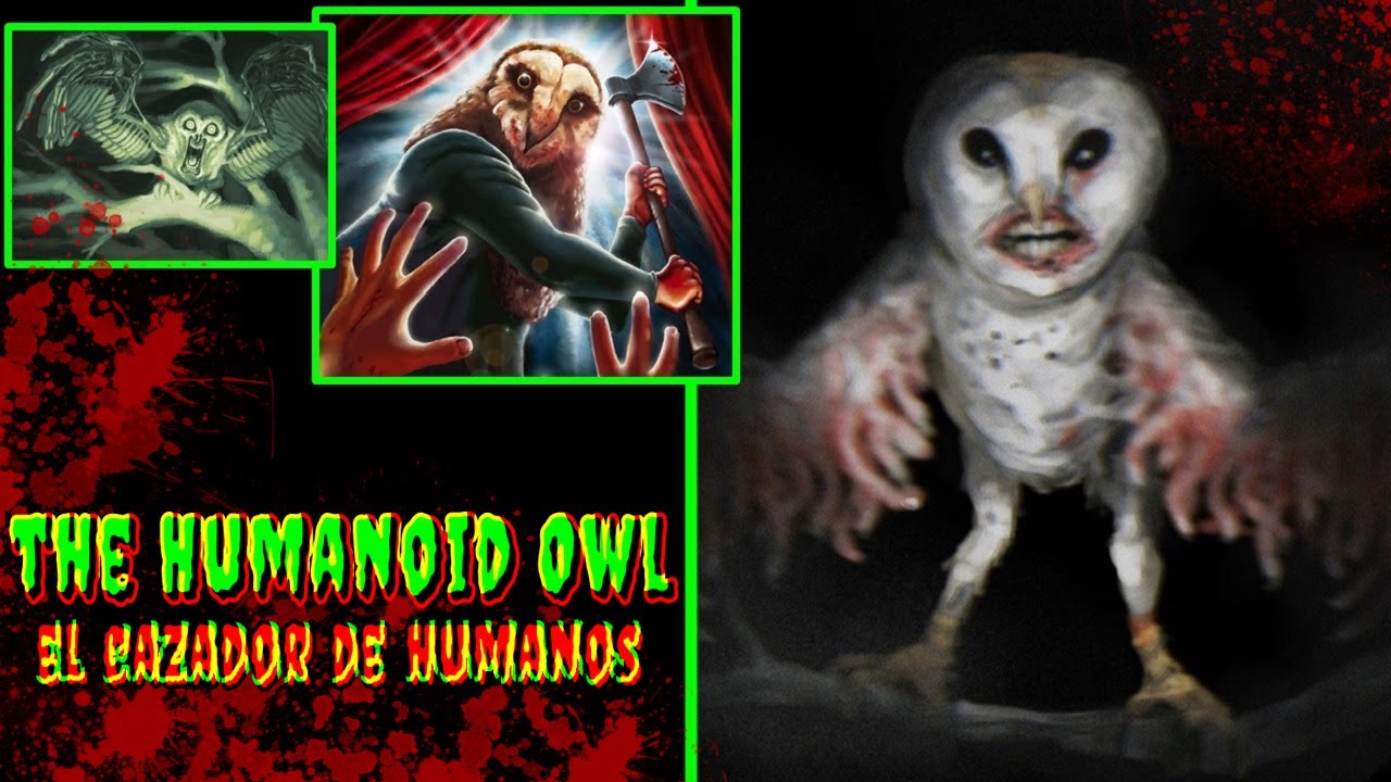 Заяц гуманоид картинки