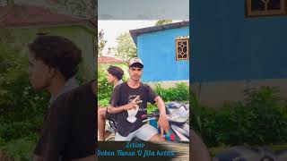 Doben Fila Mai  Cover Zetino