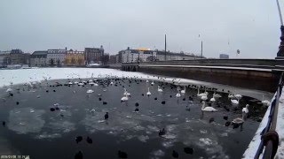 Mobius Vs RunCam 2 #Part 4