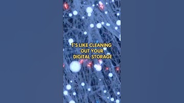 Your brain has a delete button and this is what it is!! #brainfacts #neuroscience #synapticpruning