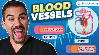 Blood Vessels Anatomy & Physiology | Nursing Student A&P NCLEX