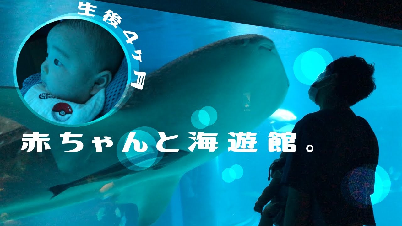 生後4ヶ月 赤ちゃんと海遊館 祝 営業再開 Youtube