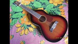 Sishire Sishire Sharodo Aakashe (Agomoni Gaan) | Hawaiian Guitar Instrumental | Arup Roy