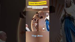 Pope Francis gives an example that we should always pray with Mother Mary,#salveregina #popefrancis