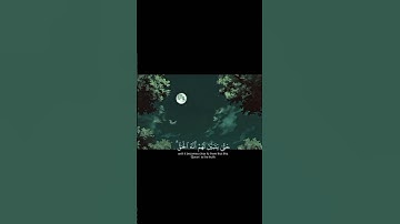 سَنُرِيهِمْ آيَاتِنَا فِي الآفَاقِ وَفِي أَنْفُسِهِمْ||تلاوة خاشعة بصوت الشيخ ياسر الدوسري 💗🌿