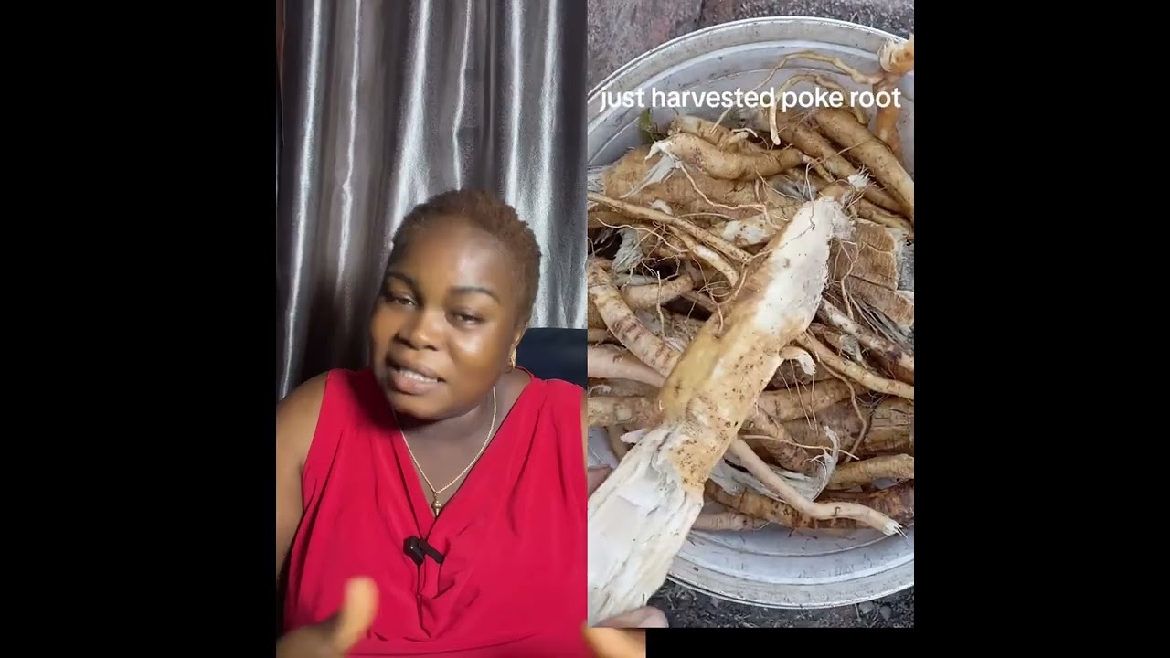 Poke root is powerful