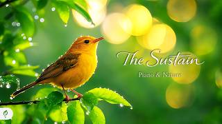 Nature's Green Sanctuary 🌿 Soft Piano and Nature Sounds to Ease Stress and Renew Your Spirit screenshot 2