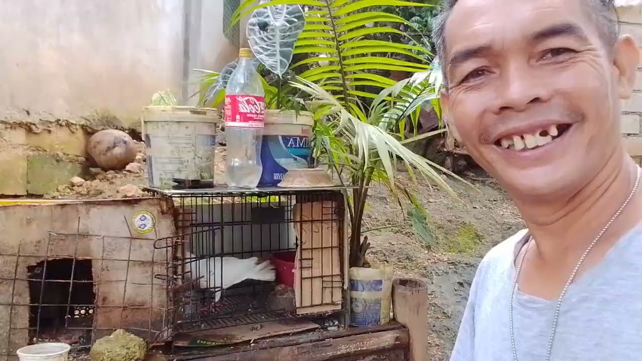 Gusto na mo lupad ang kalapati mga ka idol