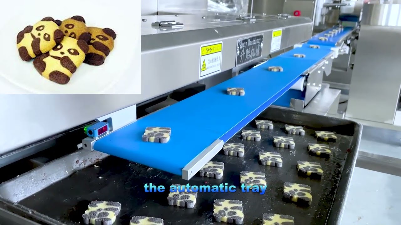 SY-800 Automatic panda biscuit mosaic biscuit star biscuit making machine production line