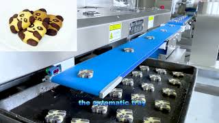 SY-800 Automatic panda biscuit mosaic biscuit star biscuit making machine production line