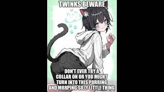 Why You Shouldnt Wear A Collar?!