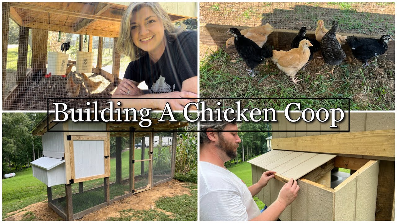 DIY Chicken Coop/Run How We Built Our Own Chicken Coop YouTube