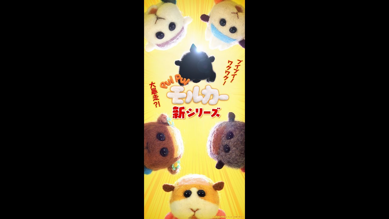 PUI PUI モルカー』新シリーズ 放送決定記念 PV #Shorts - YouTube